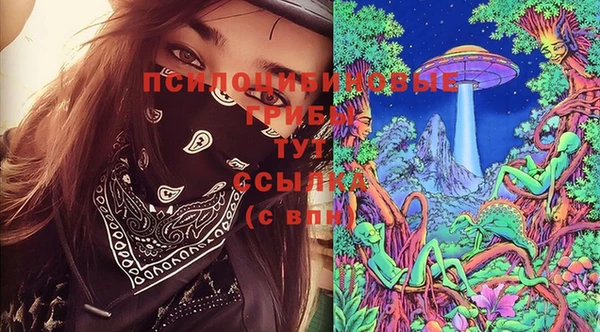 герыч Алзамай