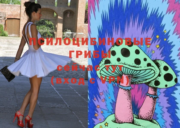 герыч Алзамай